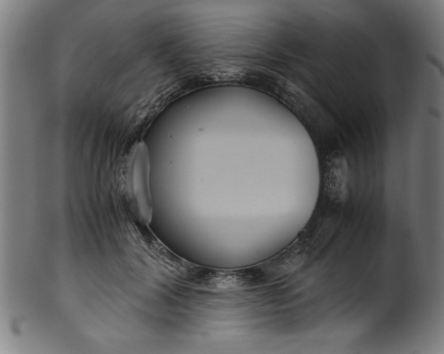 X0000099930604200806061456