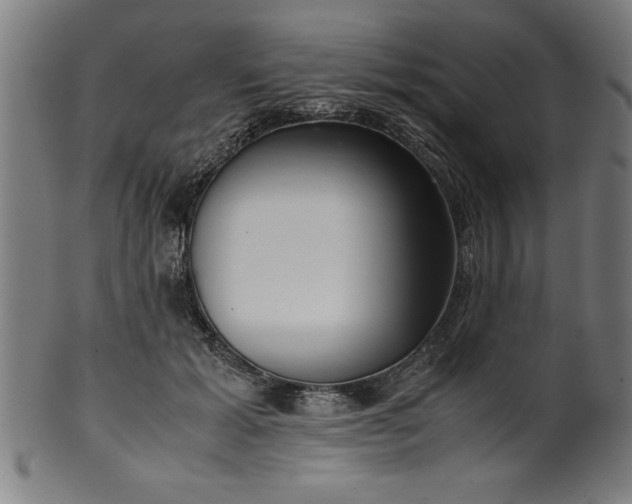 X0000099930605200806061456