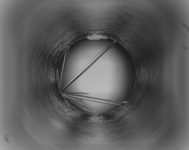 X0000099930606200806061456