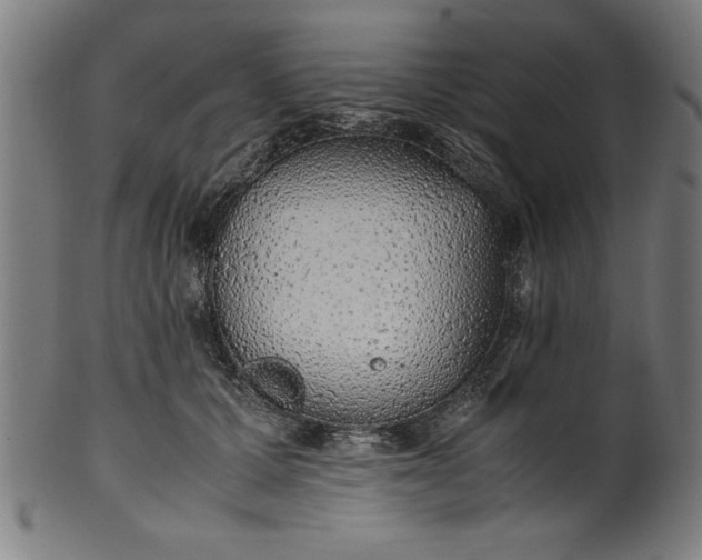 X0000099930607200806061456