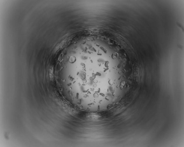 X0000099930610200806061456