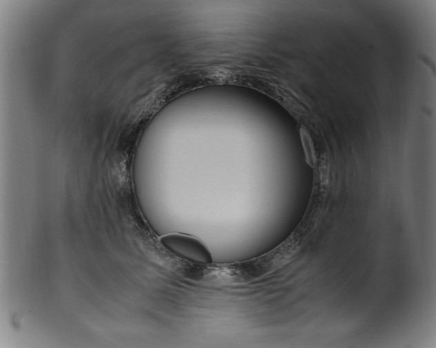 X0000099930611200806061456