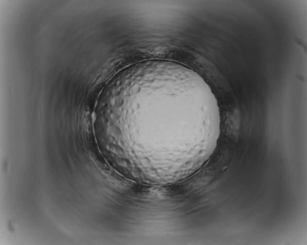 X0000099930612200806061456