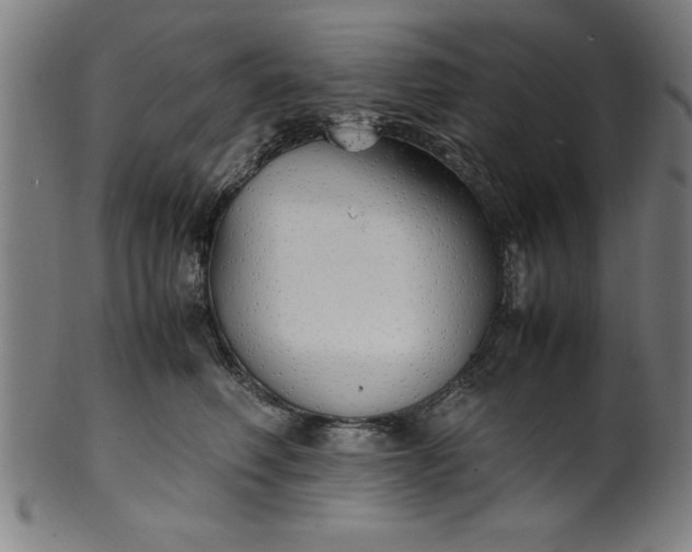 X0000099930614200806061456