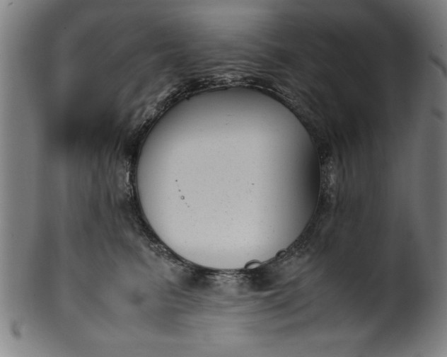 X0000099930615200806061456