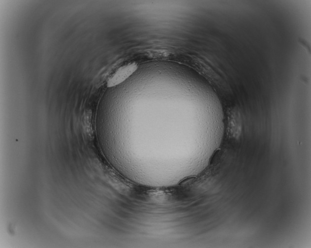 X0000099930616200806061456