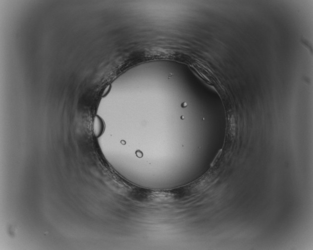 X0000099930617200806061456