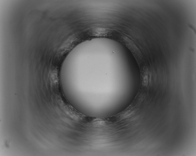 X0000099930620200806061456