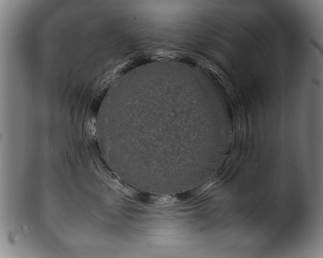 X0000099930621200806061455