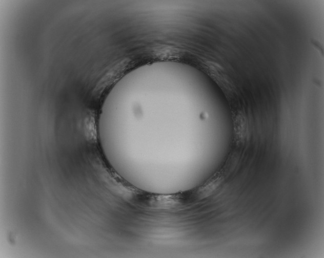 X0000099930622200806061455