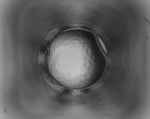 X0000099930623200806061455