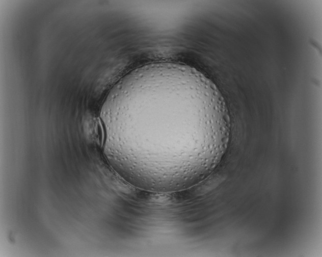 X0000099930624200806061455