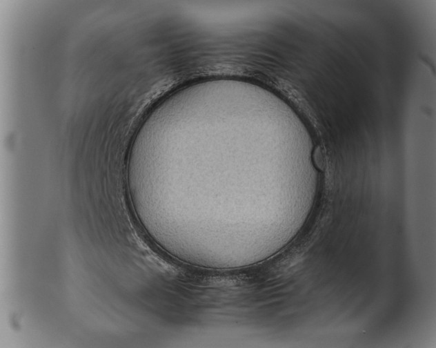 X0000099930625200806061455