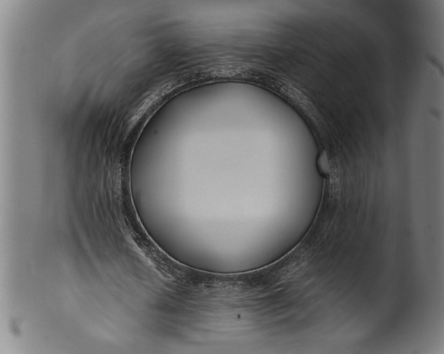 X0000099930626200806061455