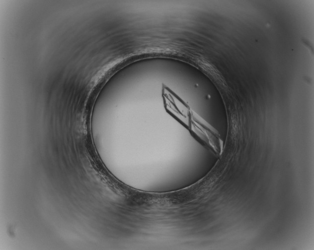 X0000099930628200806061455