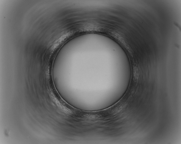 X0000099930629200806061455