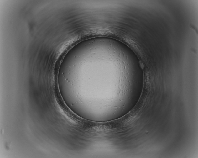 X0000099930630200806061455