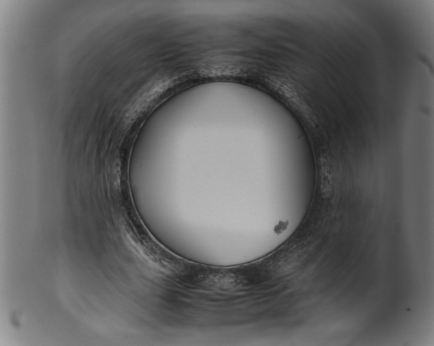 X0000099930631200806061455