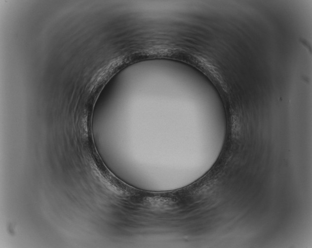 X0000099930633200806061455