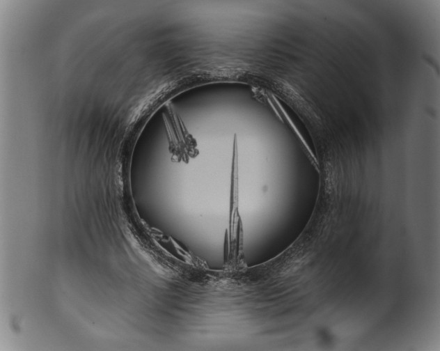 X0000099930634200806061455