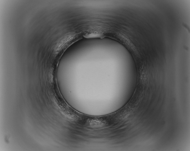 X0000099930635200806061455