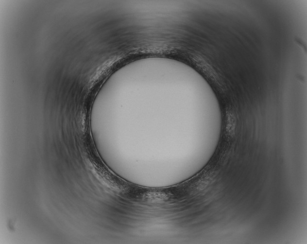 X0000099930636200806061455