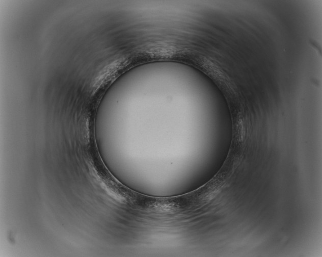 X0000099930638200806061455