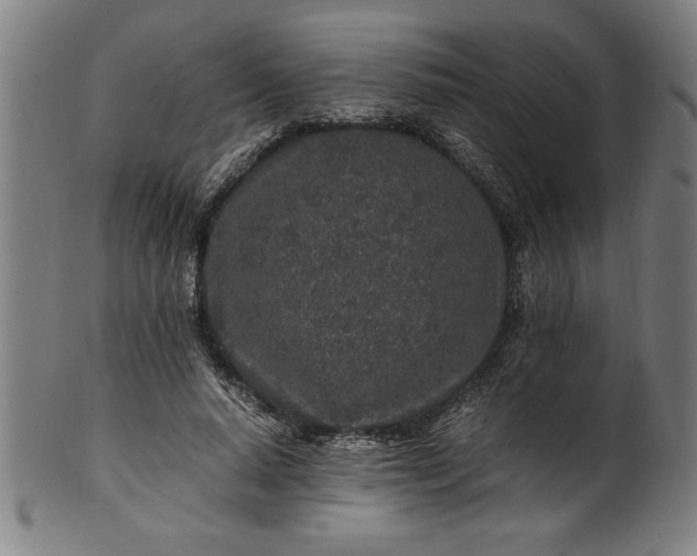 X0000099930640200806061455