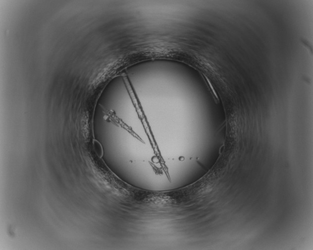 X0000099930642200806061455