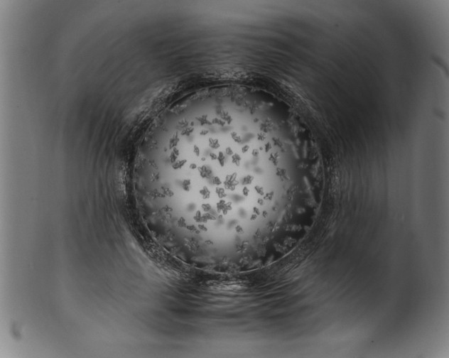 X0000099930643200806061455