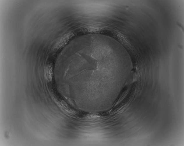 X0000099930644200806061455