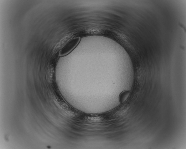 X0000099930645200806061455