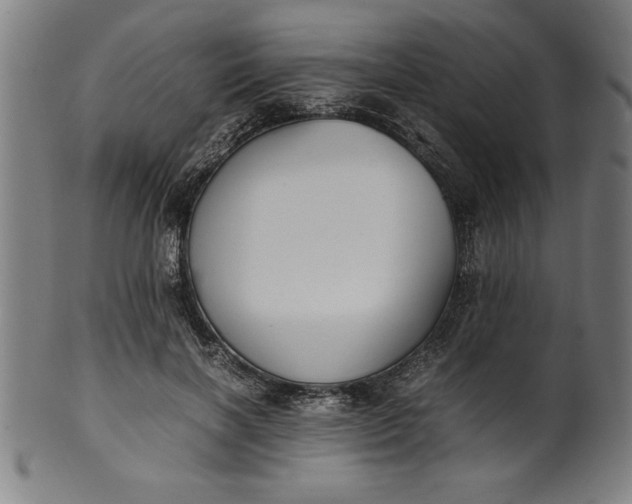 X0000099930646200806061455