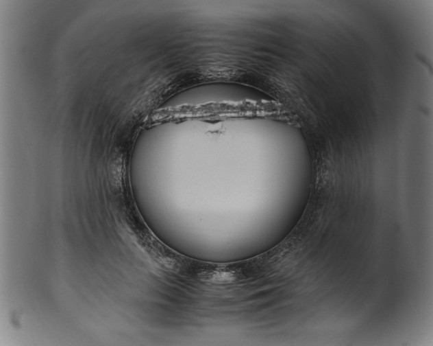 X0000099930647200806061455