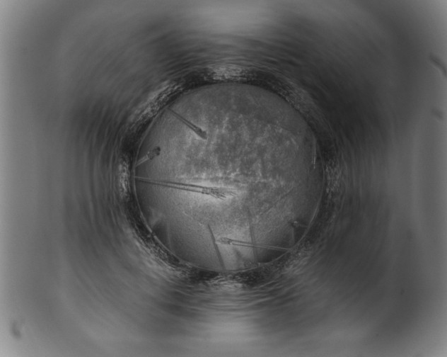 X0000099930648200806061455