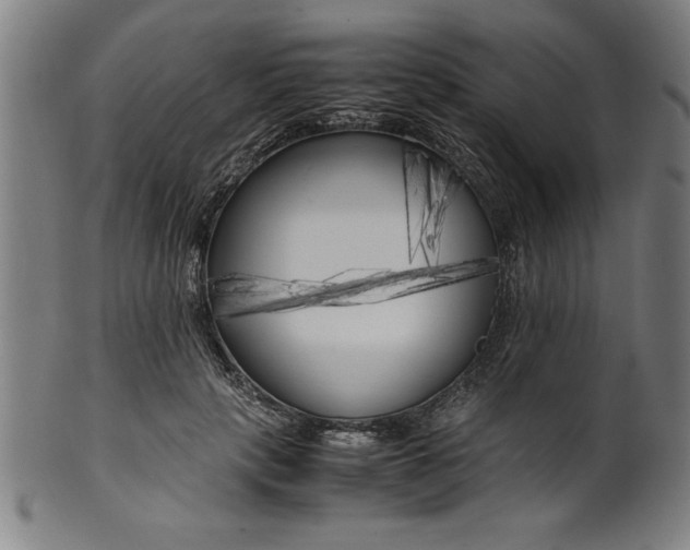 X0000099930649200806061455