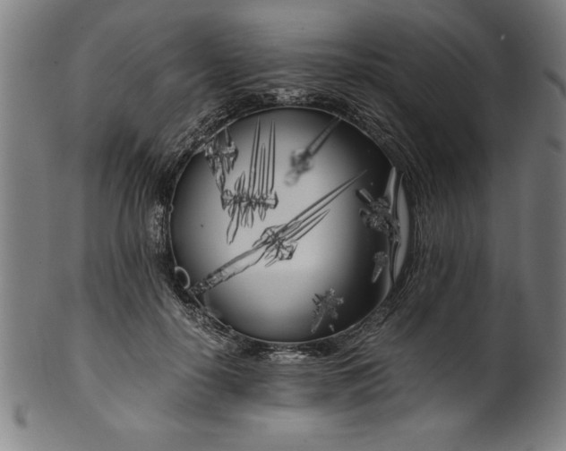 X0000099930650200806061455