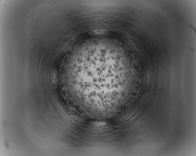 X0000099930651200806061455