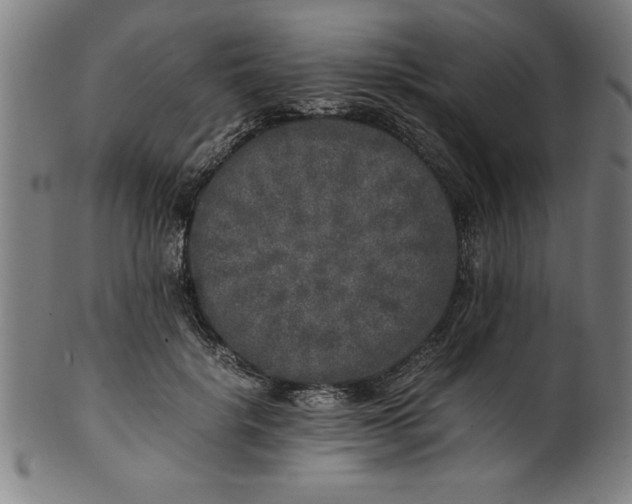 X0000099930652200806061455