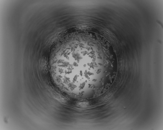 X0000099930653200806061455