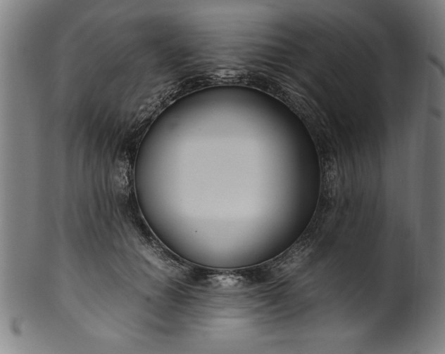 X0000099930654200806061455