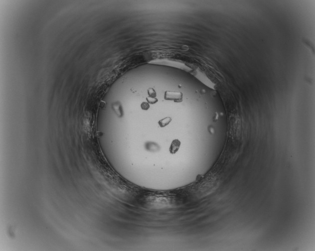 X0000099930655200806061455