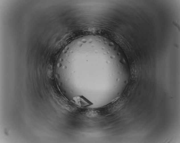 X0000099930656200806061455