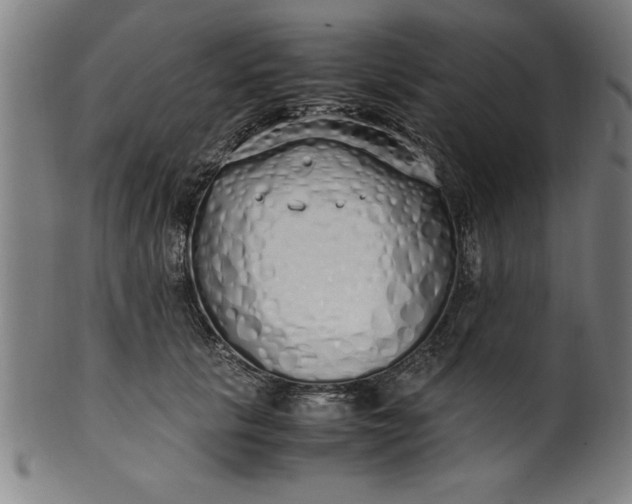 X0000099930657200806061455