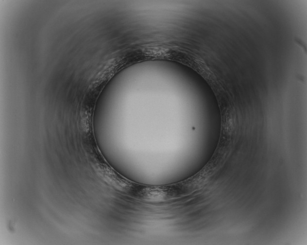 X0000099930658200806061455