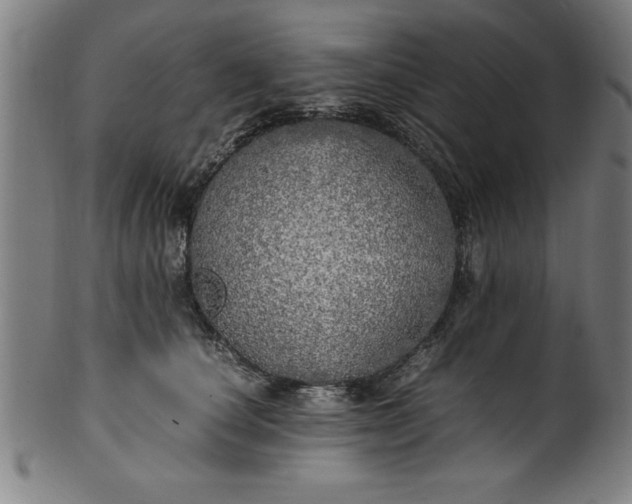 X0000099930660200806061455