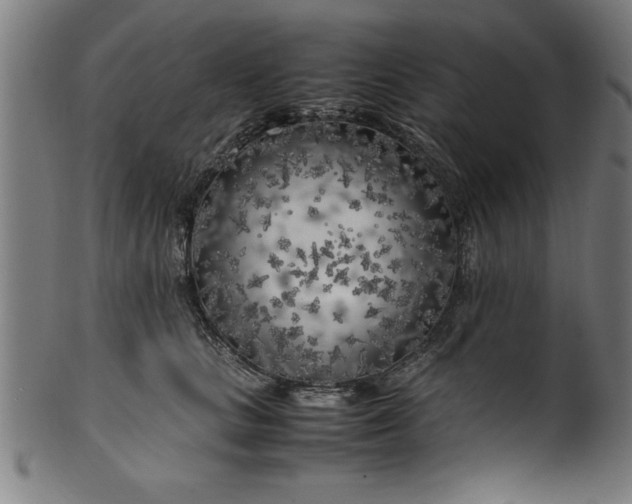 X0000099930661200806061455