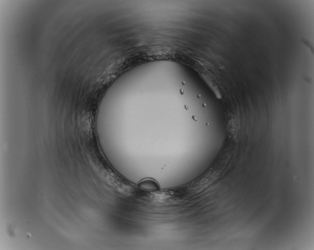 X0000099930662200806061455