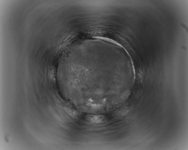 X0000099930663200806061455