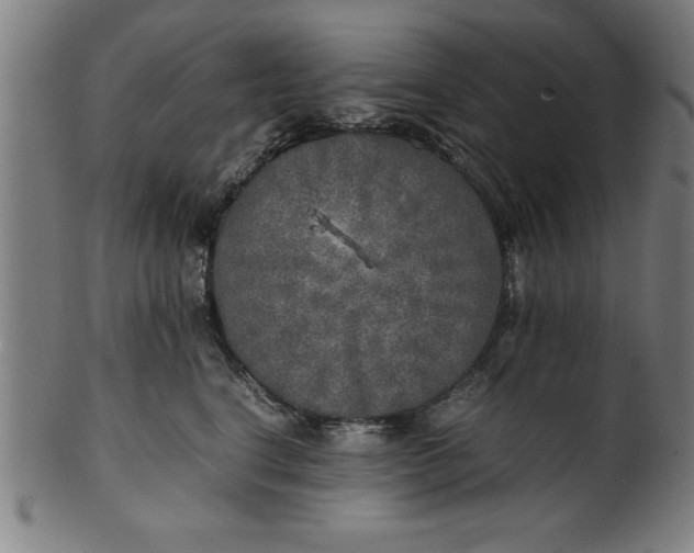 X0000099930664200806061455